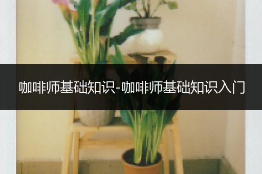 咖啡师基础知识-咖啡师基础知识入门