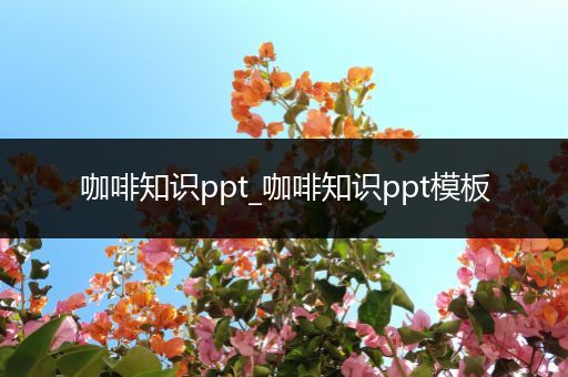 咖啡知识ppt_咖啡知识ppt模板