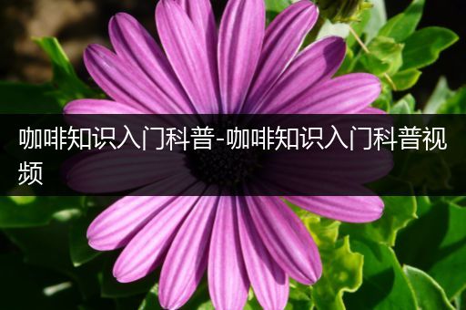 咖啡知识入门科普-咖啡知识入门科普视频