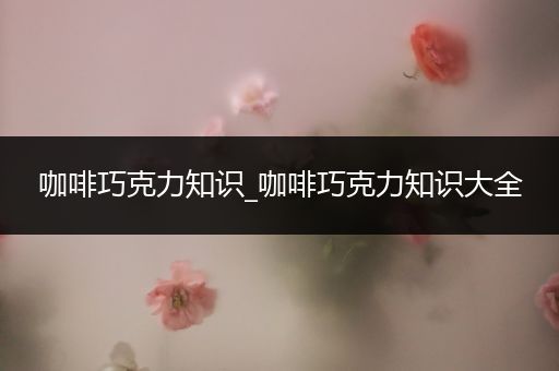 咖啡巧克力知识_咖啡巧克力知识大全