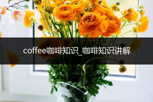 coffee咖啡知识_咖啡知识讲解