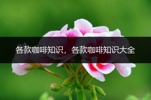 各款咖啡知识，各款咖啡知识大全