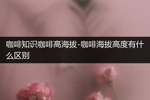 咖啡知识咖啡高海拔-咖啡海拔高度有什么区别