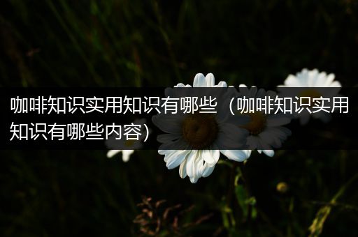 咖啡知识实用知识有哪些（咖啡知识实用知识有哪些内容）