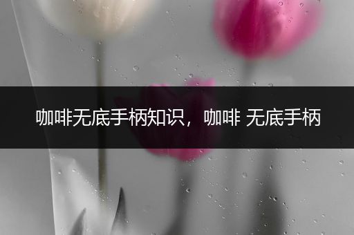 咖啡无底手柄知识，咖啡 无底手柄