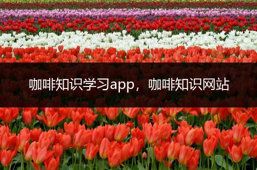 咖啡知识学习app，咖啡知识网站