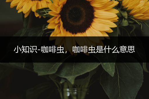 小知识-咖啡虫，咖啡虫是什么意思