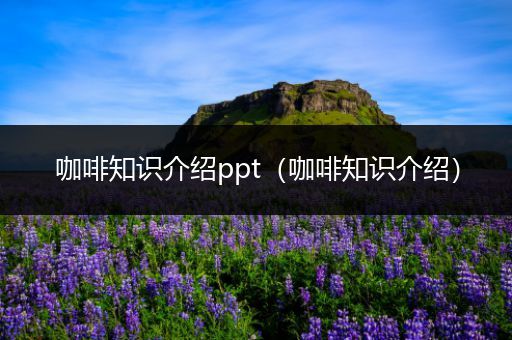 咖啡知识介绍ppt（咖啡知识介绍）