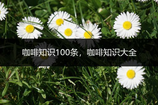 咖啡知识100条，咖啡知识大全