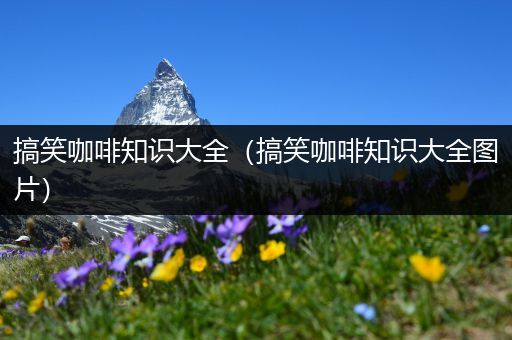 搞笑咖啡知识大全（搞笑咖啡知识大全图片）