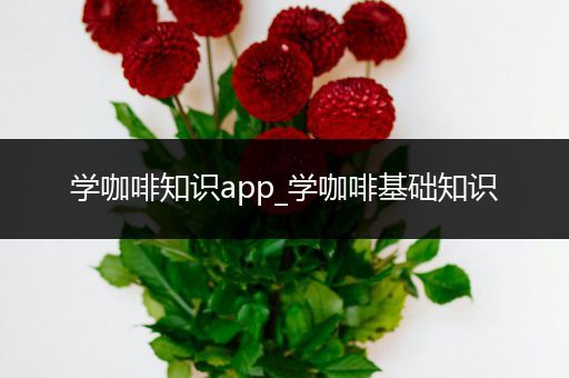 学咖啡知识app_学咖啡基础知识