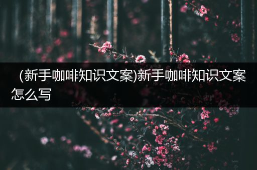 （新手咖啡知识文案)新手咖啡知识文案怎么写