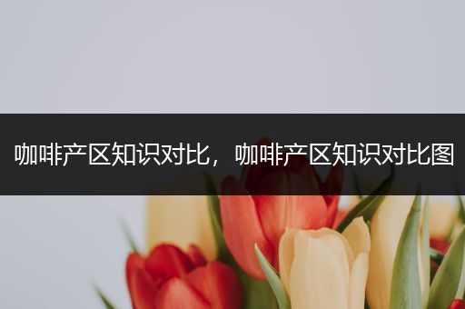 咖啡产区知识对比，咖啡产区知识对比图