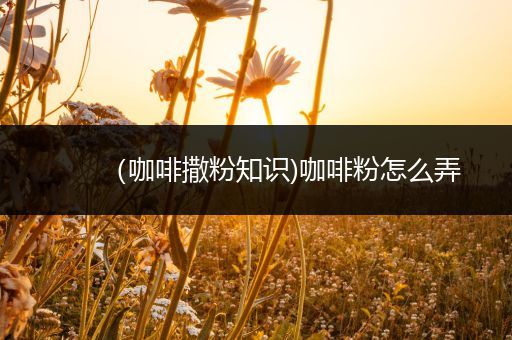 （咖啡撒粉知识)咖啡粉怎么弄