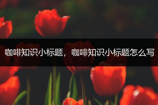 咖啡知识小标题，咖啡知识小标题怎么写