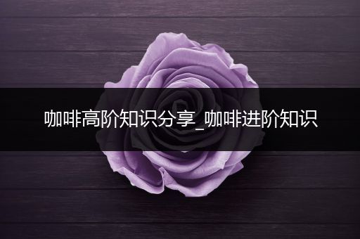 咖啡高阶知识分享_咖啡进阶知识