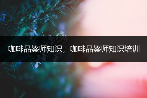 咖啡品鉴师知识，咖啡品鉴师知识培训