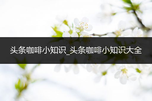 头条咖啡小知识_头条咖啡小知识大全