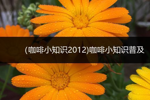 （咖啡小知识2012)咖啡小知识普及