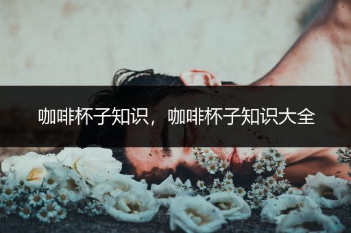 咖啡杯子知识，咖啡杯子知识大全