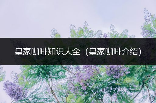 皇家咖啡知识大全（皇家咖啡介绍）