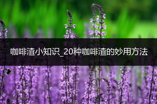 咖啡渣小知识_20种咖啡渣的妙用方法