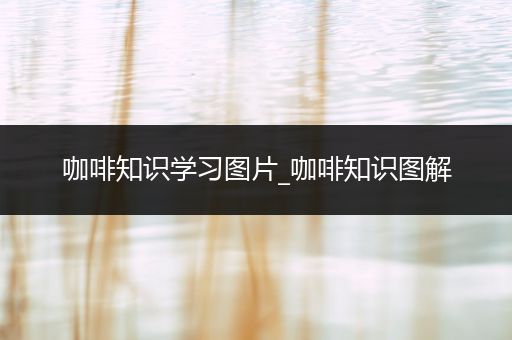 咖啡知识学习图片_咖啡知识图解