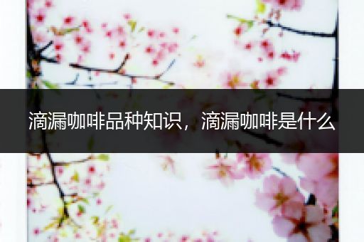 滴漏咖啡品种知识，滴漏咖啡是什么