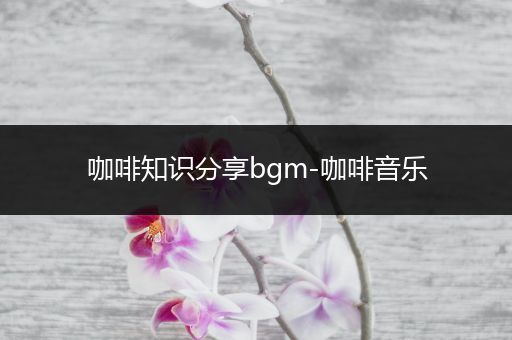 咖啡知识分享bgm-咖啡音乐