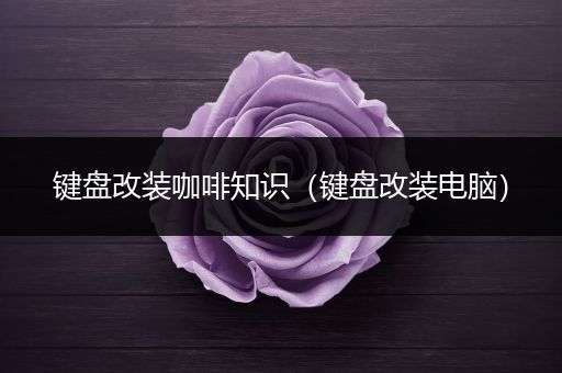 键盘改装咖啡知识（键盘改装电脑）