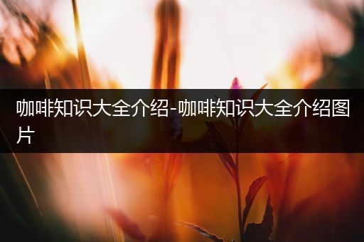 咖啡知识大全介绍-咖啡知识大全介绍图片