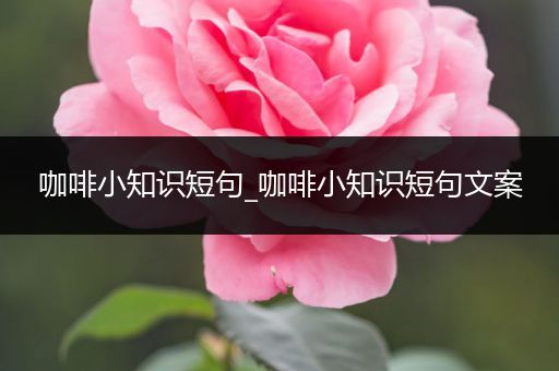 咖啡小知识短句_咖啡小知识短句文案