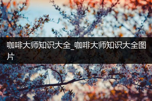 咖啡大师知识大全_咖啡大师知识大全图片