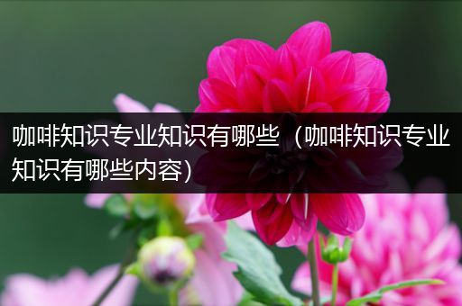 咖啡知识专业知识有哪些（咖啡知识专业知识有哪些内容）