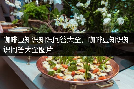 咖啡豆知识知识问答大全，咖啡豆知识知识问答大全图片