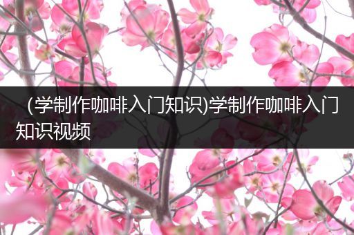 （学制作咖啡入门知识)学制作咖啡入门知识视频