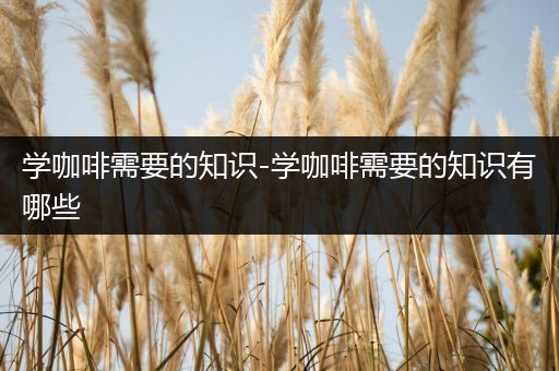 学咖啡需要的知识-学咖啡需要的知识有哪些