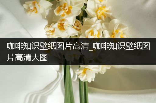 咖啡知识壁纸图片高清_咖啡知识壁纸图片高清大图