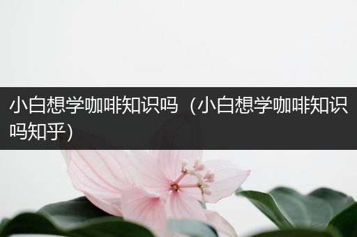 小白想学咖啡知识吗（小白想学咖啡知识吗知乎）