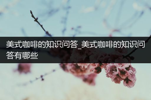 美式咖啡的知识问答_美式咖啡的知识问答有哪些