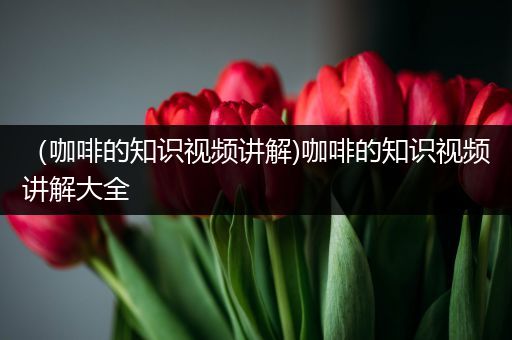 （咖啡的知识视频讲解)咖啡的知识视频讲解大全