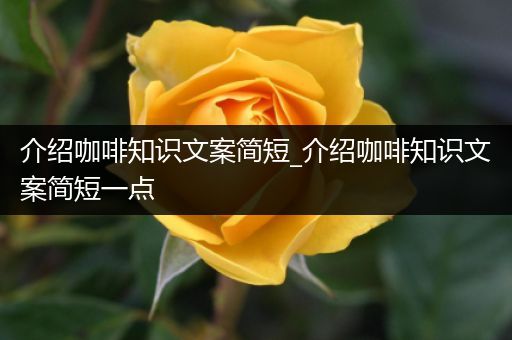 介绍咖啡知识文案简短_介绍咖啡知识文案简短一点