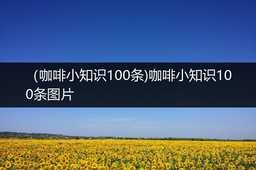 （咖啡小知识100条)咖啡小知识100条图片