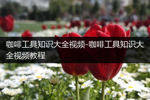 咖啡工具知识大全视频-咖啡工具知识大全视频教程