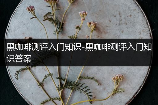 黑咖啡测评入门知识-黑咖啡测评入门知识答案