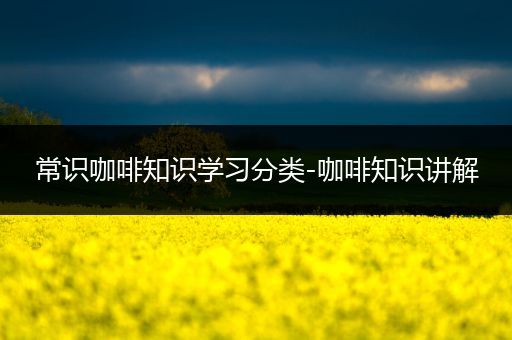 常识咖啡知识学习分类-咖啡知识讲解