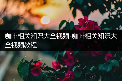 咖啡相关知识大全视频-咖啡相关知识大全视频教程