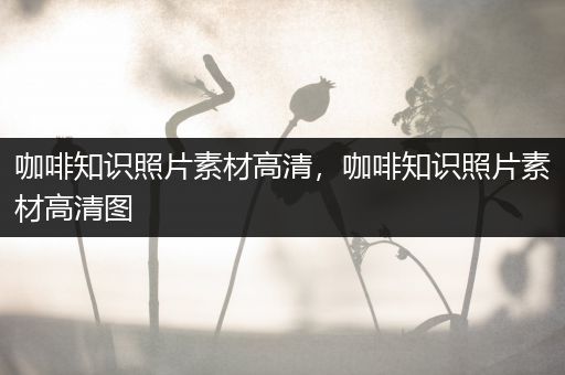 咖啡知识照片素材高清，咖啡知识照片素材高清图