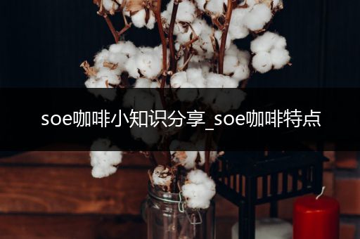 soe咖啡小知识分享_soe咖啡特点