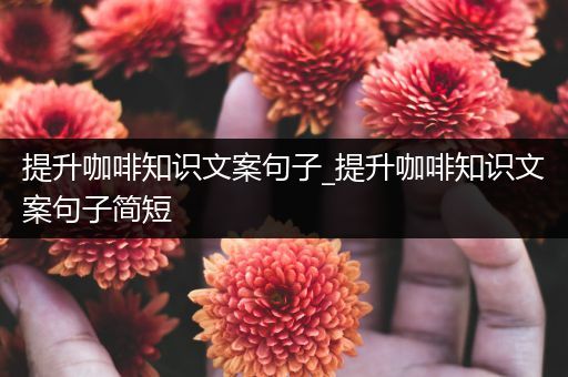 提升咖啡知识文案句子_提升咖啡知识文案句子简短